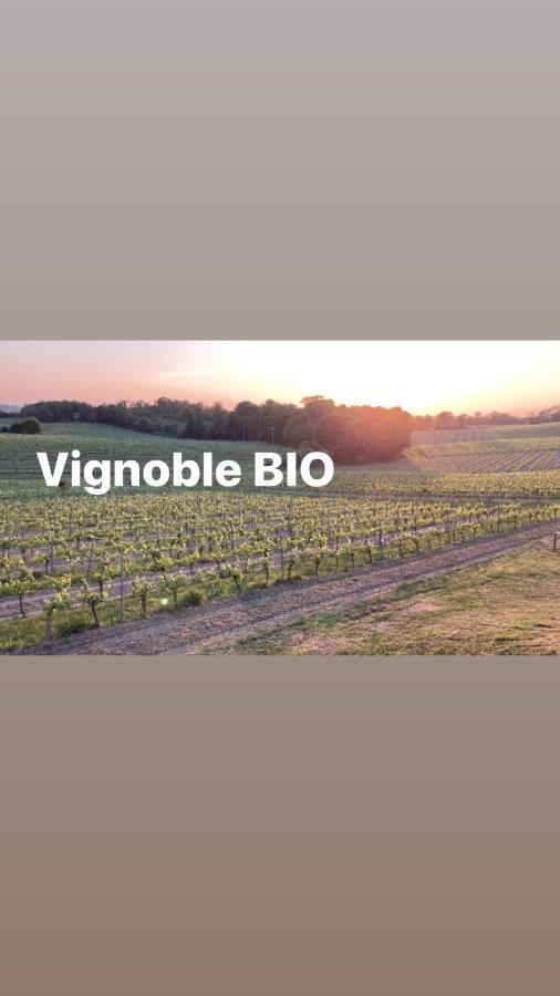 Gite Les Vignes Cravenceres Экстерьер фото