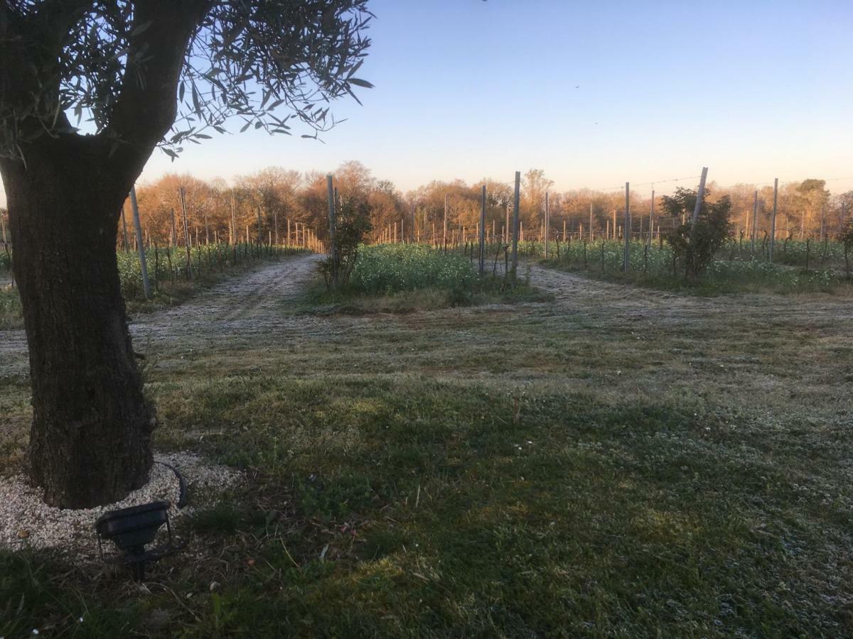 Gite Les Vignes Cravenceres Экстерьер фото